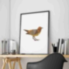 bird-shop