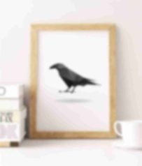 raven-shop