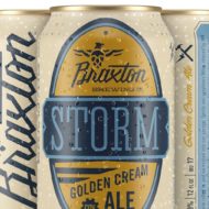 WebFrame_Braxton_01