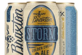 WebFrame_Braxton_01