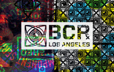 BCR_Slides_07