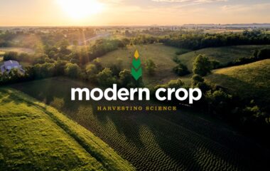 ModernCropCaseStudy_11_New